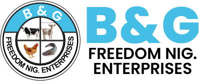 B&G Freedom Nig. Enterprises Logo